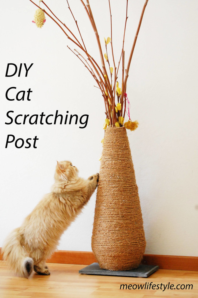 DIY cat scratching post