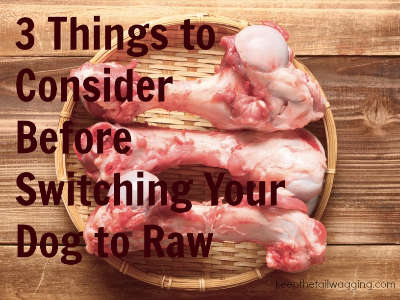 how to transition to raw dog food