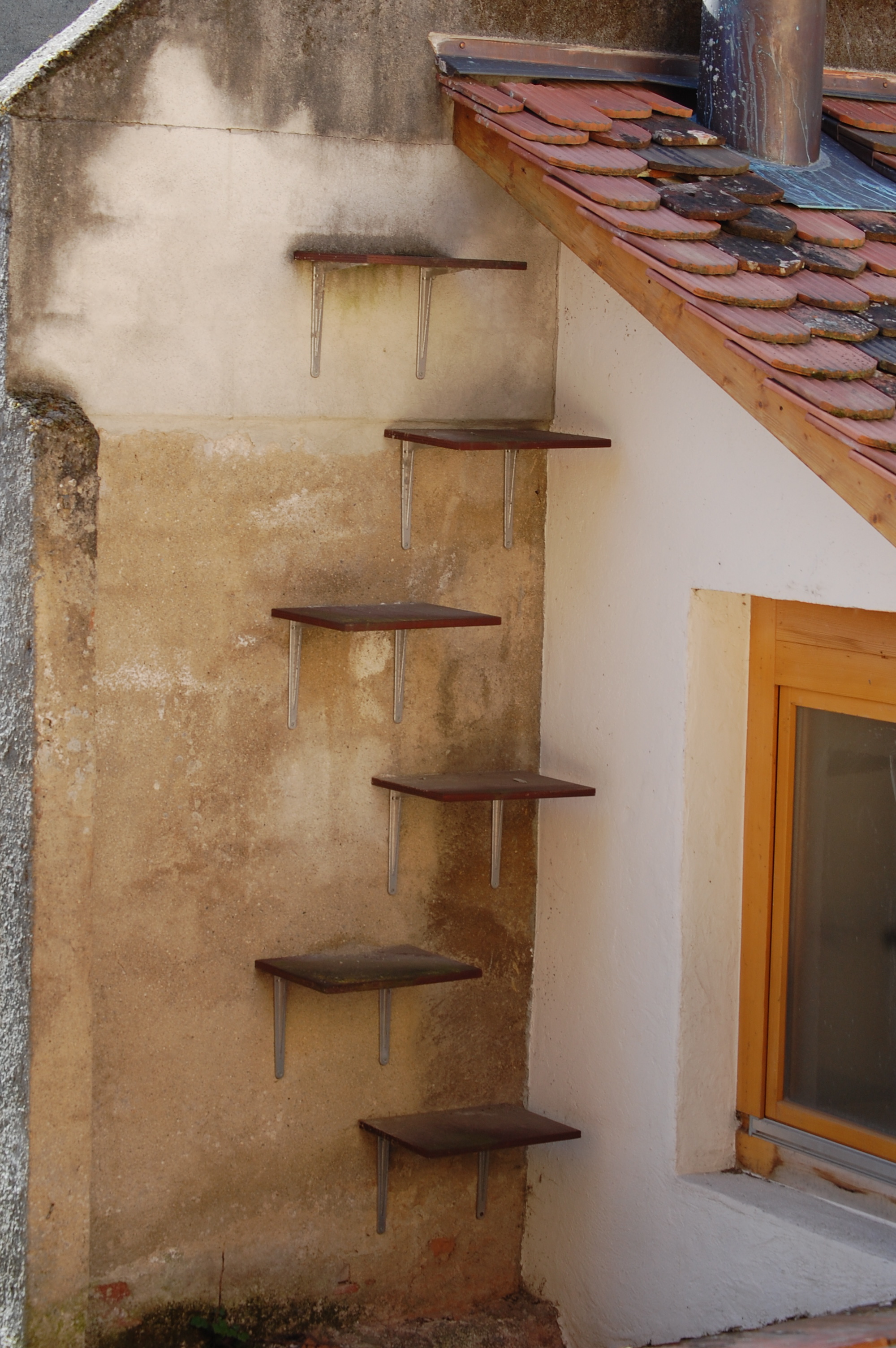 Outdoor shop cat ladder