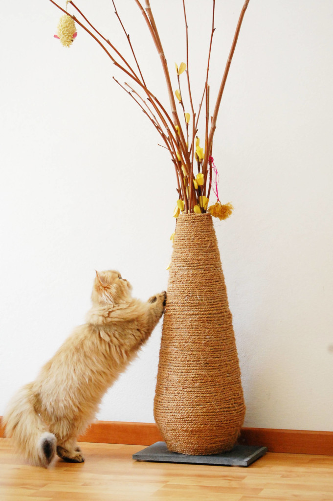 DIY cat scratching vase