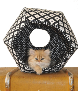 The Cat Ball Bed review