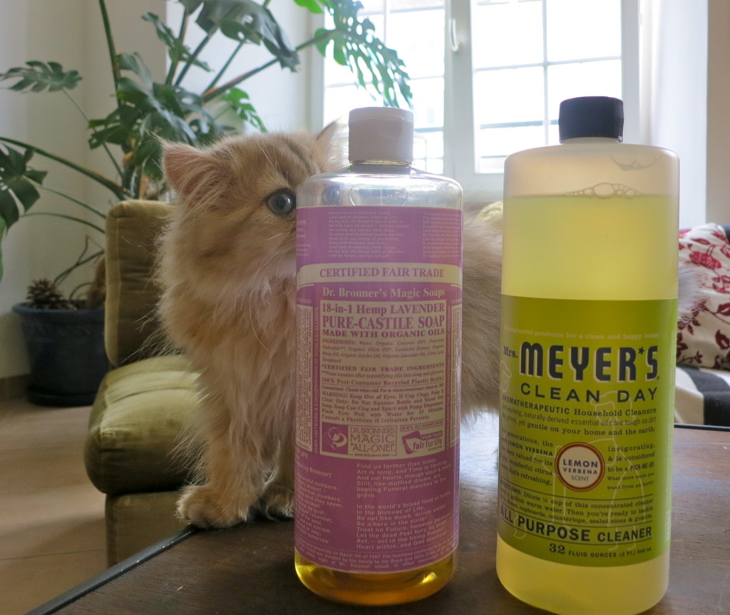 pet-friendly cleaners