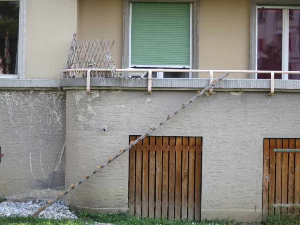 Cat ladder for apartment cats