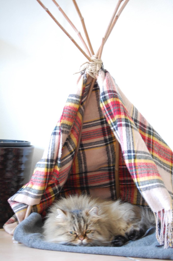 DIY cat tepee