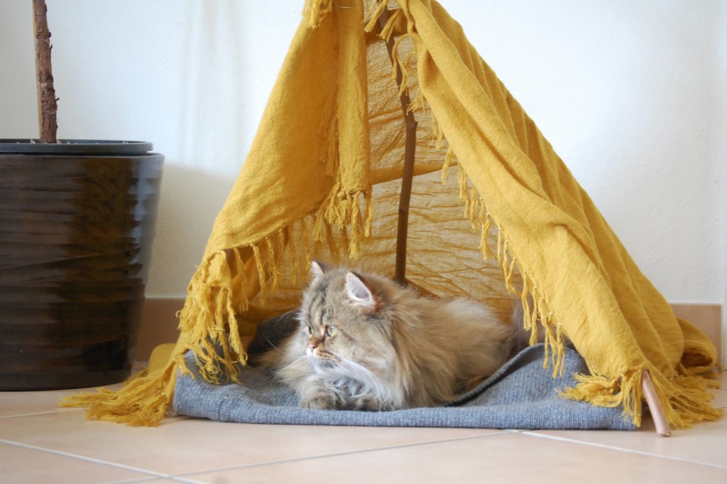 DIY cat tepee