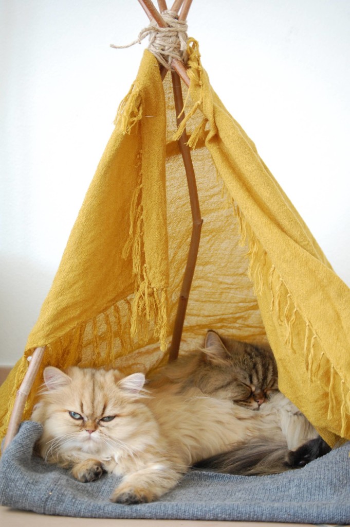 DIY cat teepee