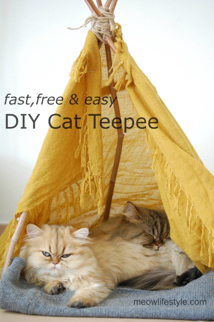 DIY Cat Teepee