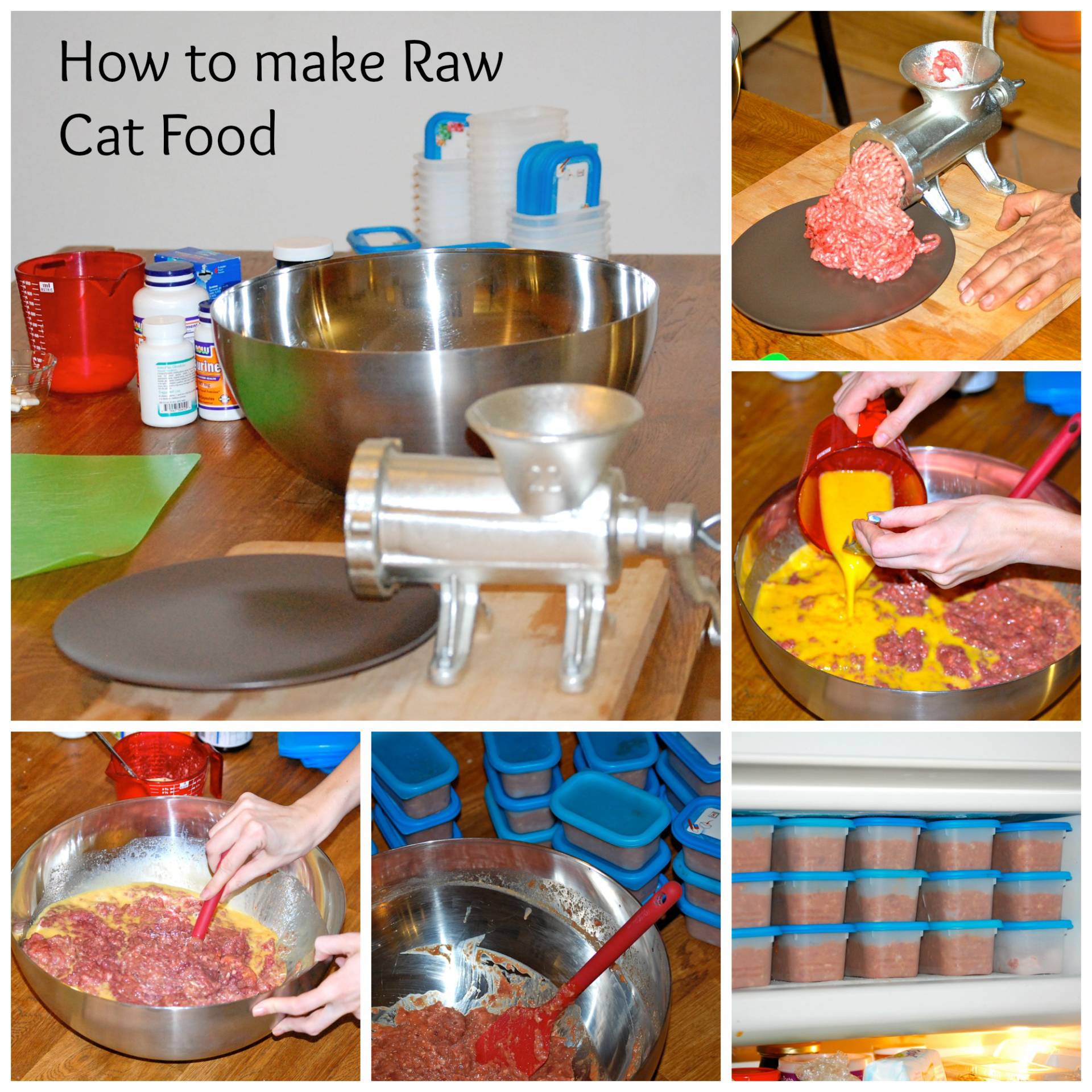 how to make Raw Cat Food 