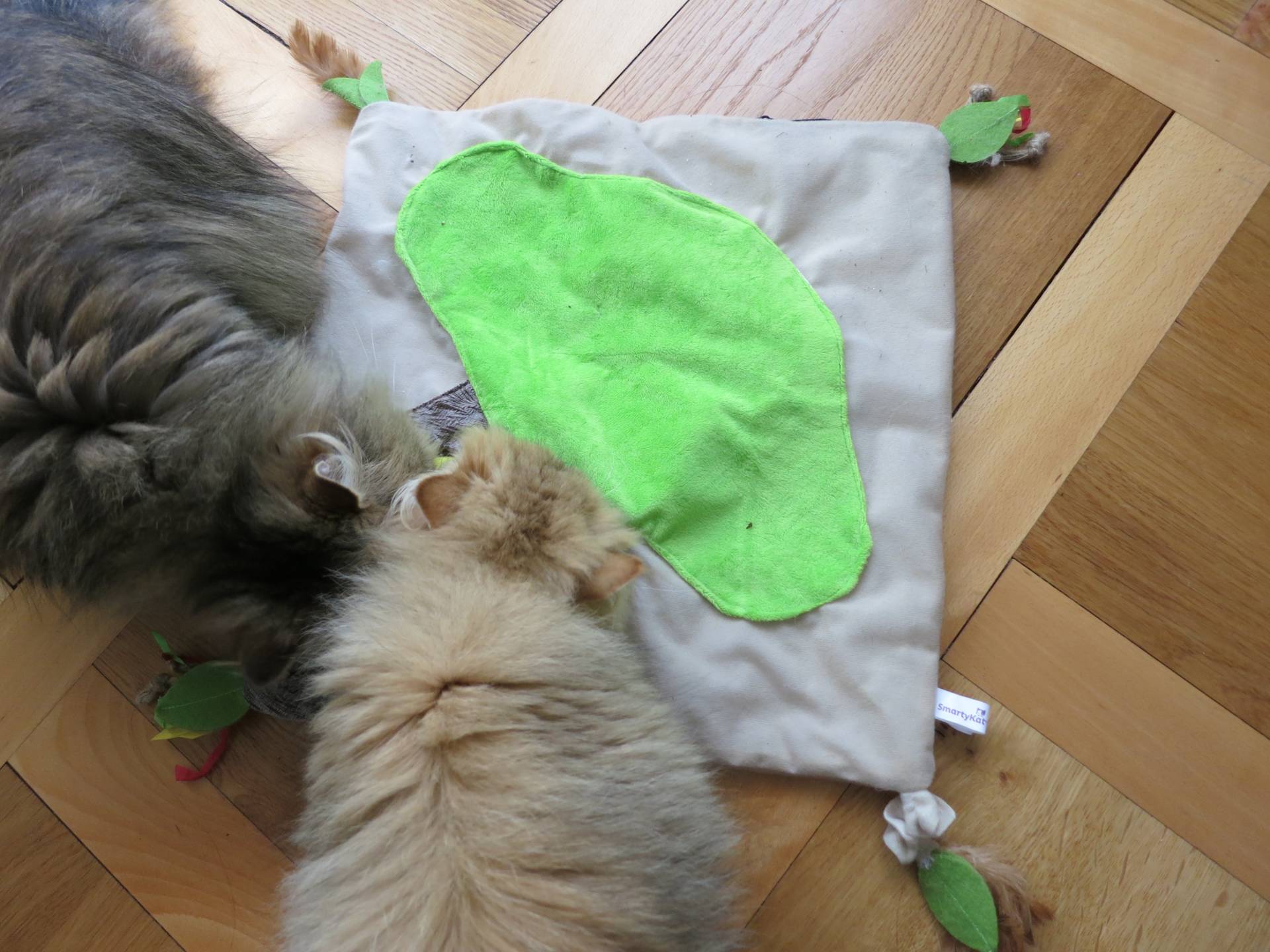 SmartyKat cat activity mat