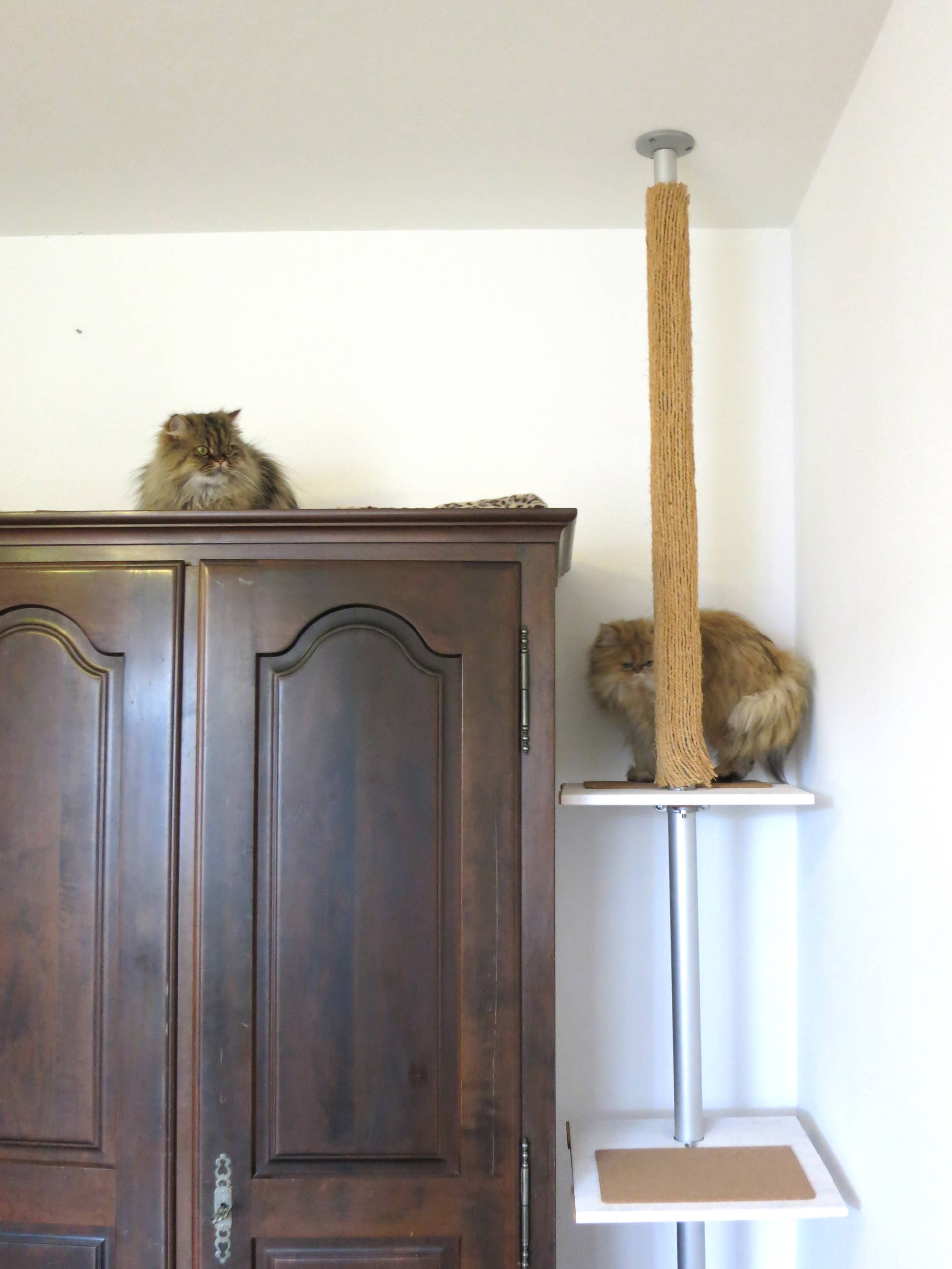 Cat tree 2025 diy ikea