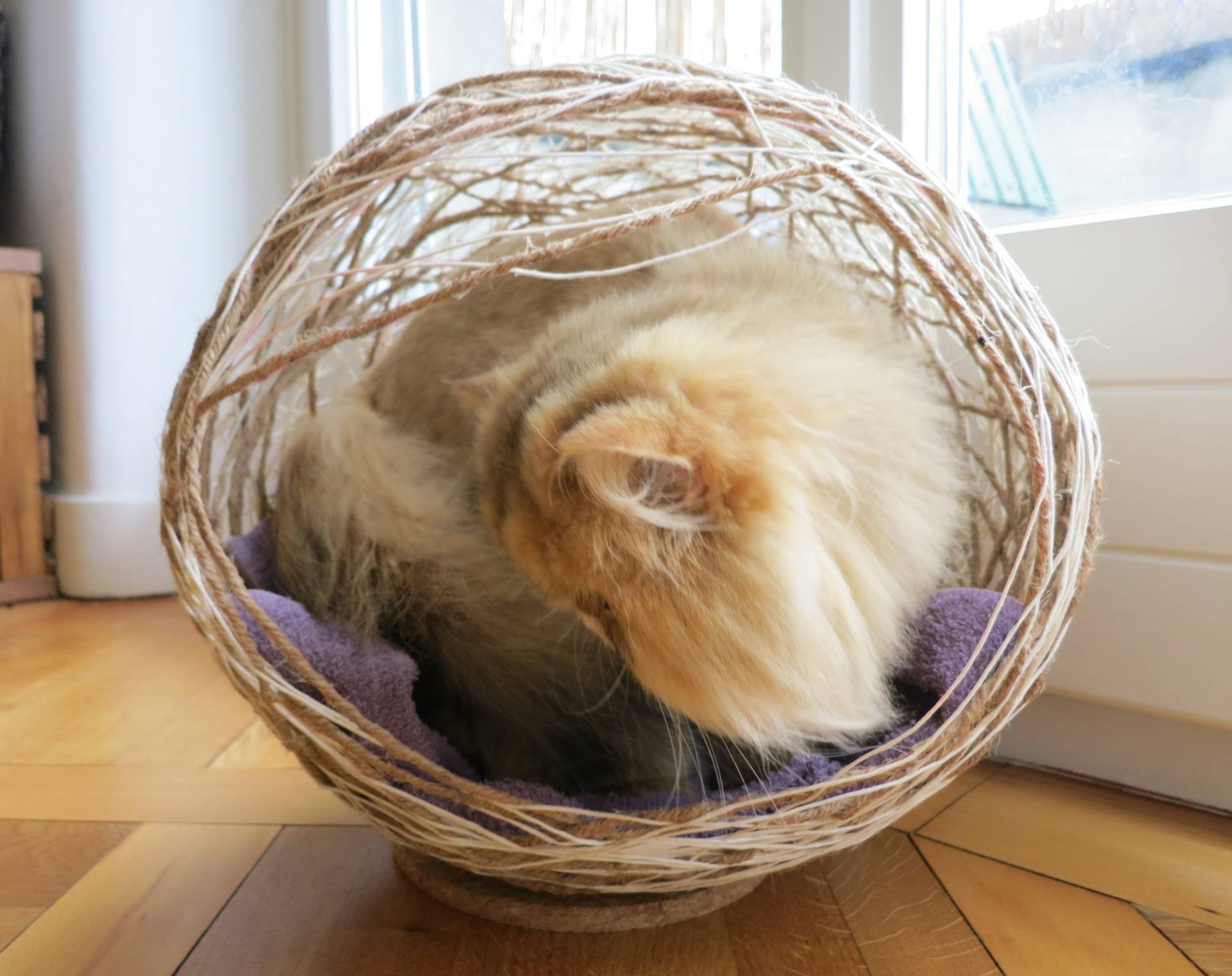 Hanging wicker ball cheap cat bed