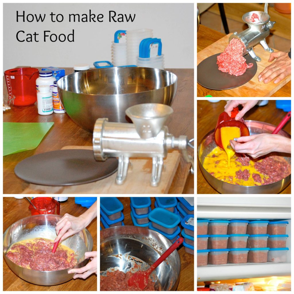 How to Make Raw Cat Food