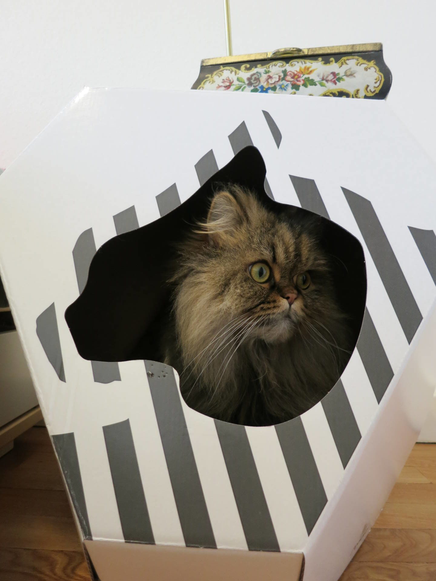 My Kotty Mia reversible cat house