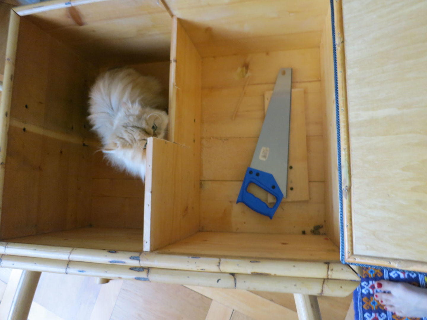DIY cat litter box hack