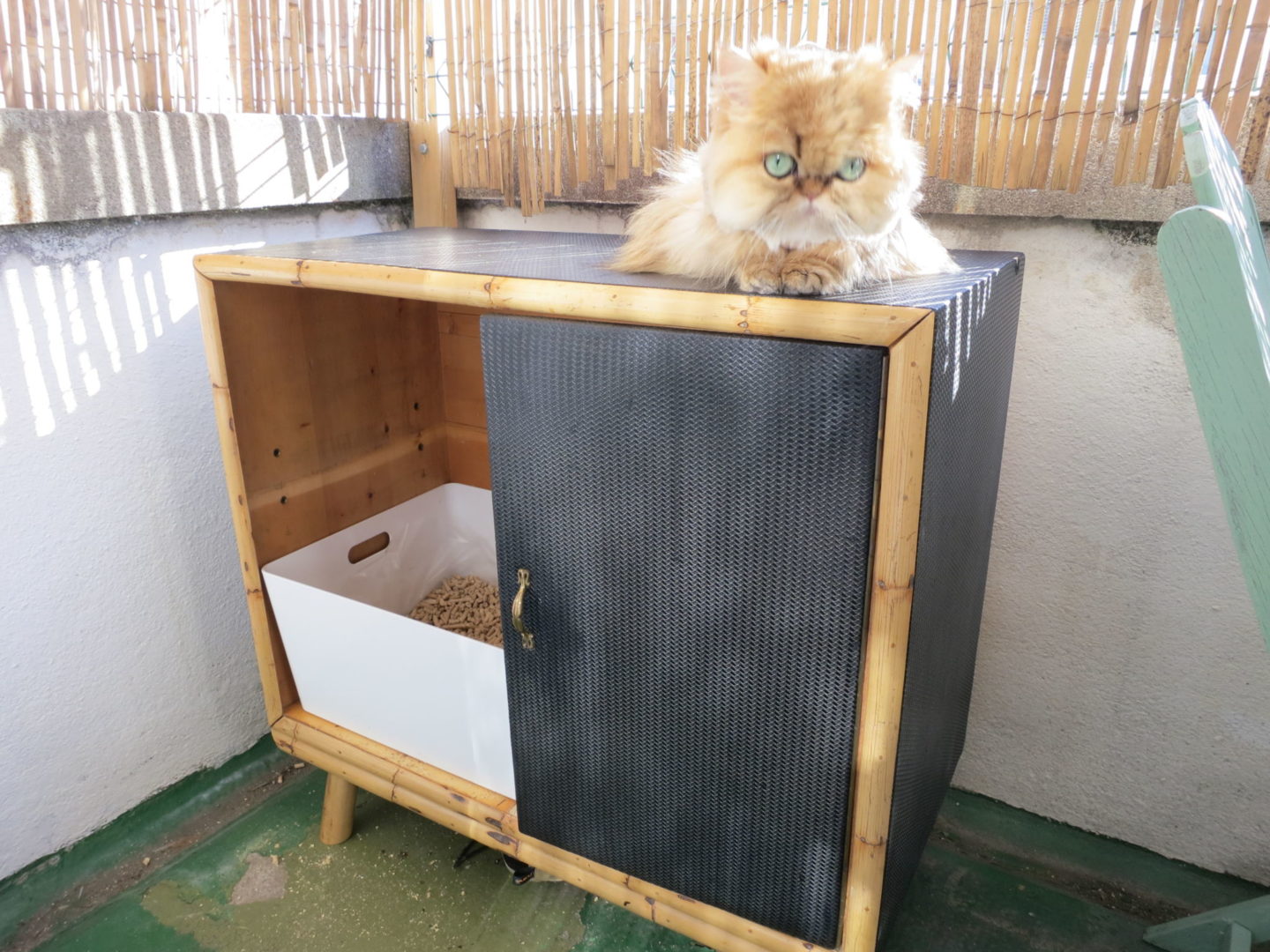 Diy litter box outlet for cat