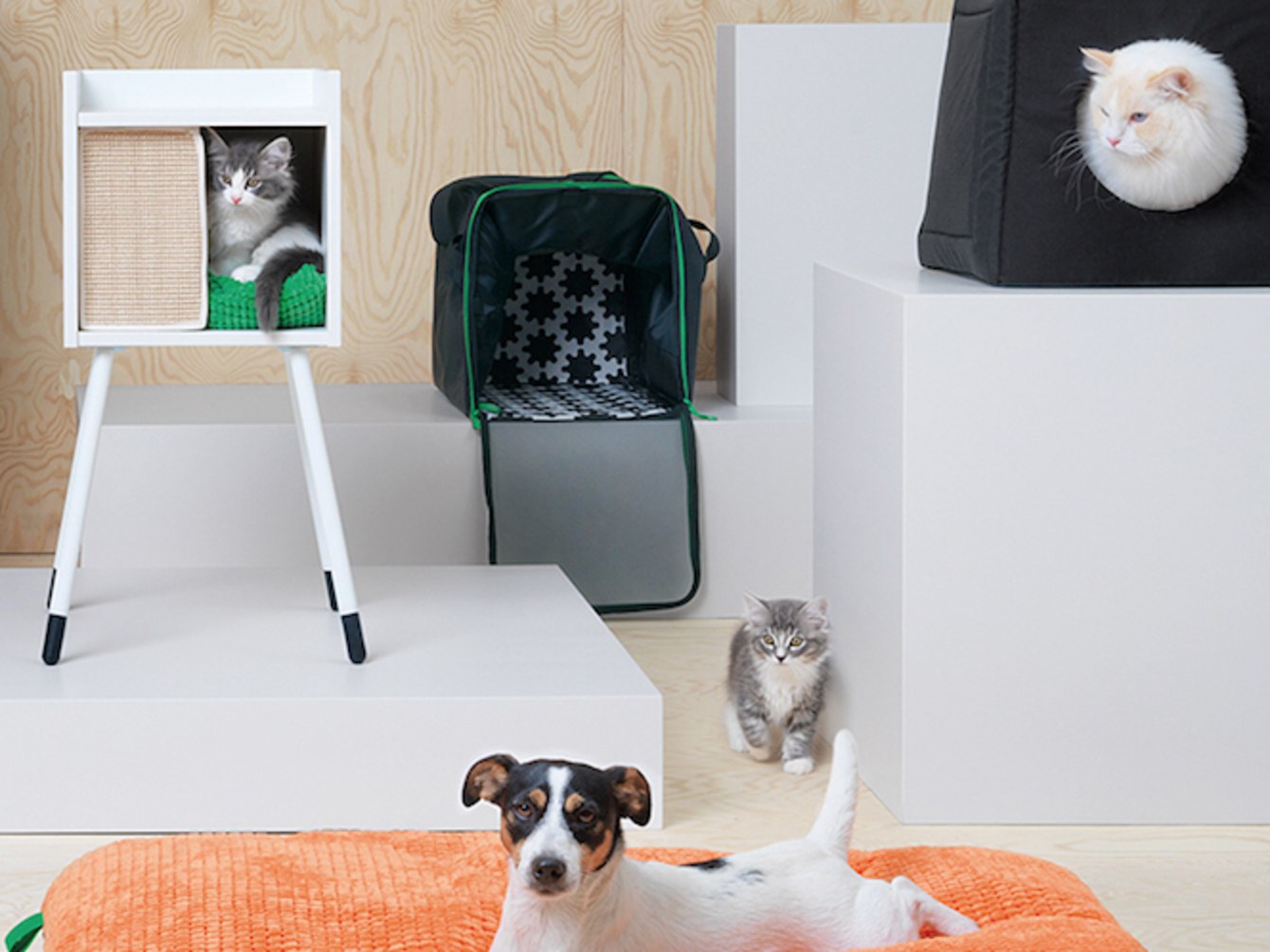 Ikea for Cats, Finally! Meow Lifestyle