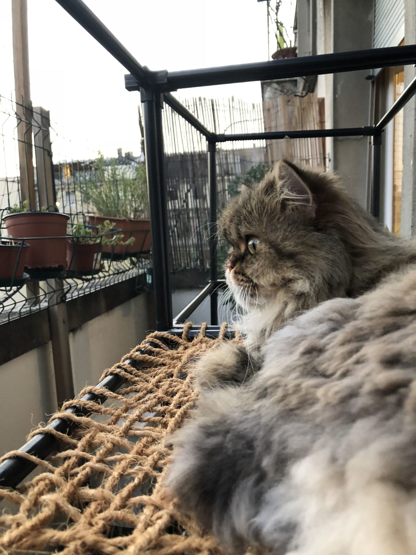 DIY outdoor balcony cat tower