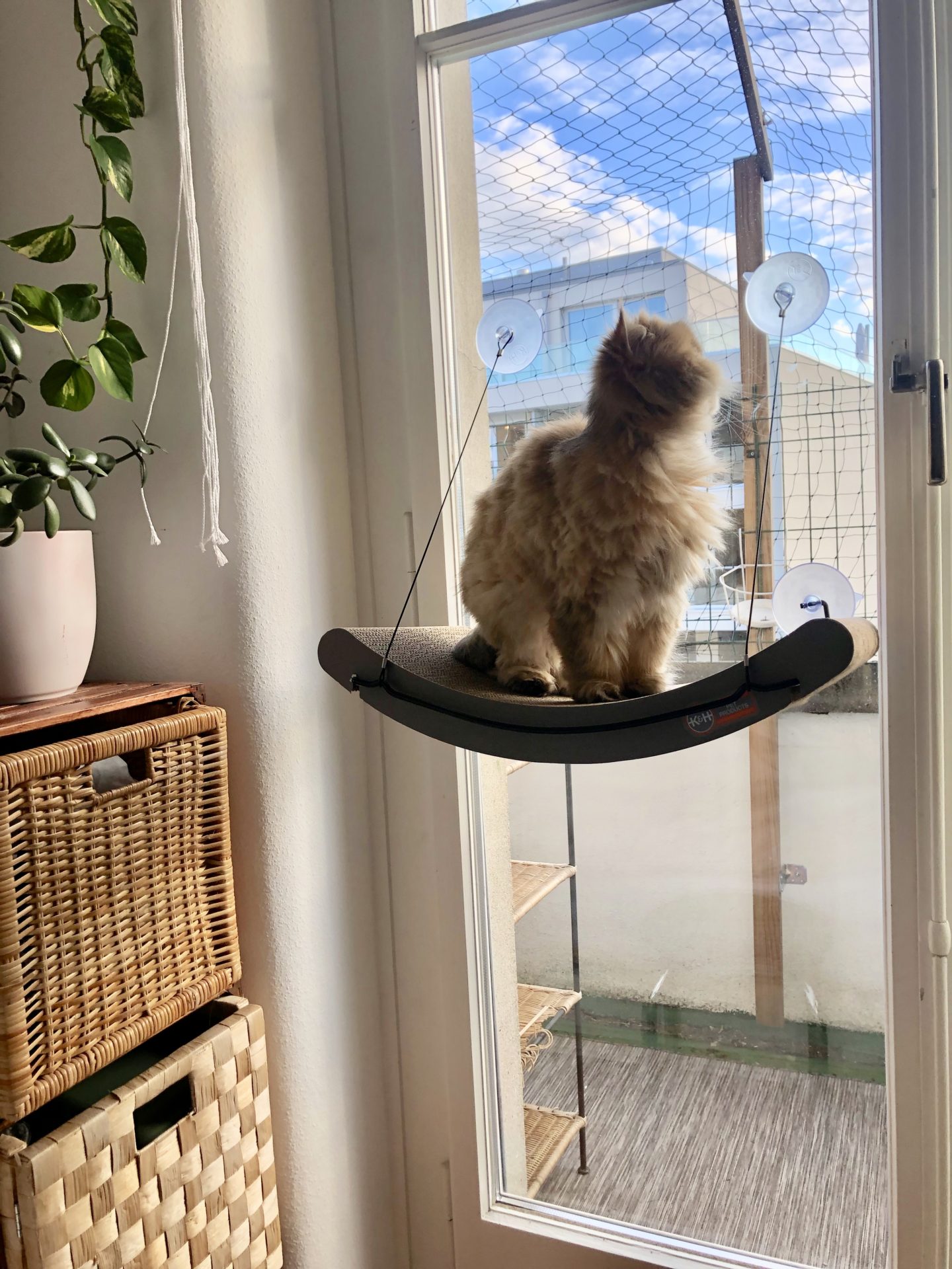 Cat window perch for small windows
