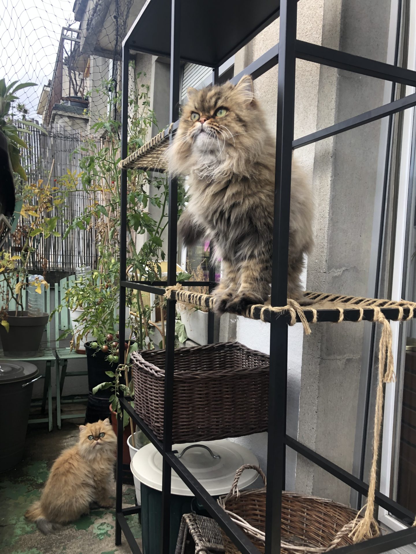 Ikea catio clearance hack