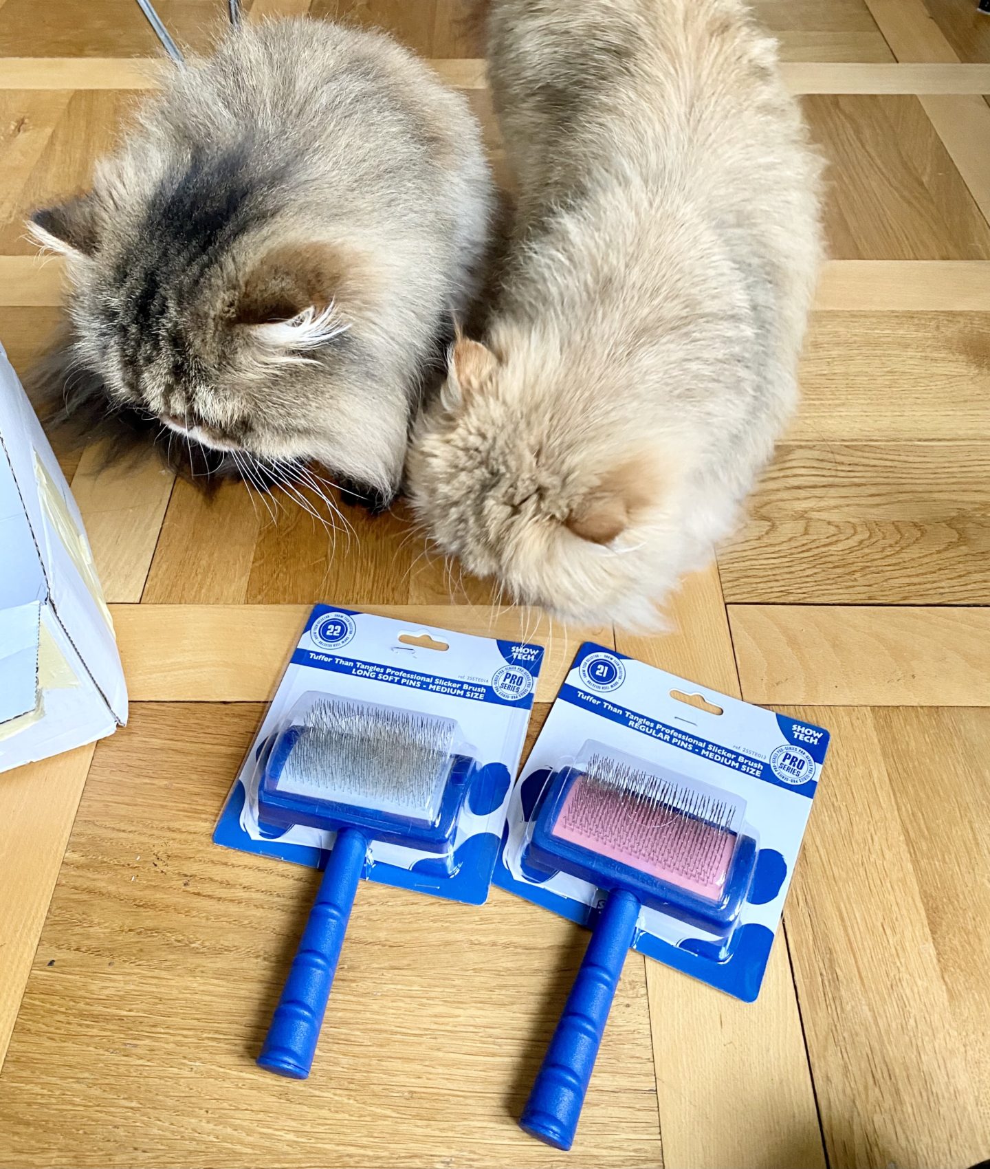 Show tech slicker brushes for Persian cats