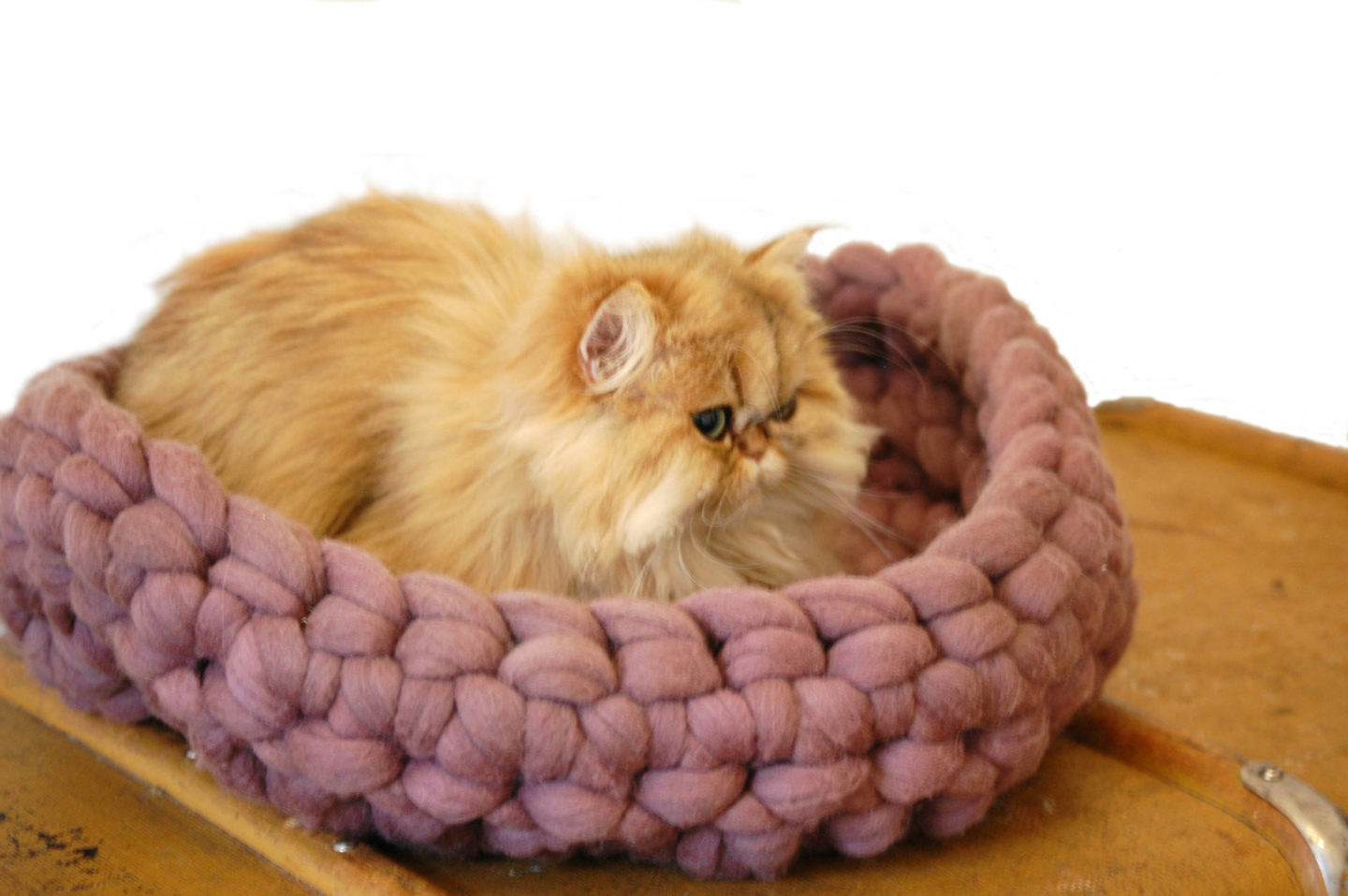 HandMade Wool Cat Bed Meow Lifestyle