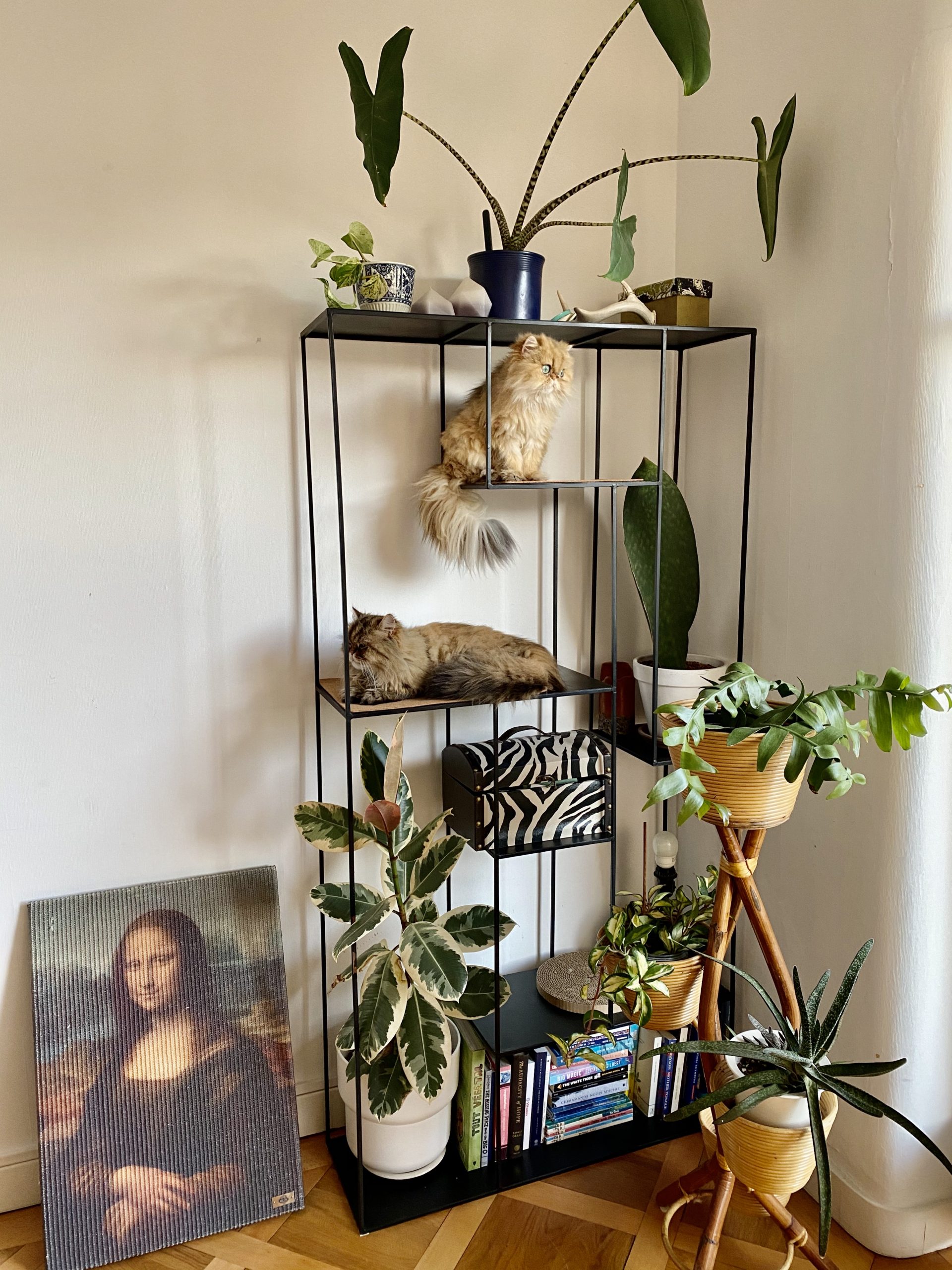 Cat Tower Bookshelf Hack